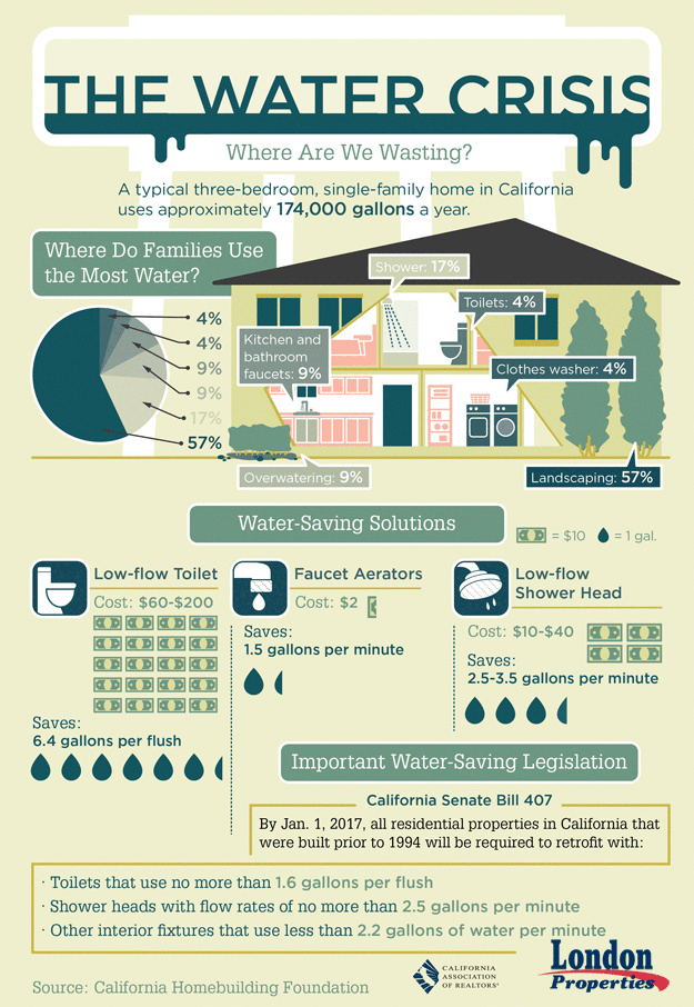 The Water Crisis